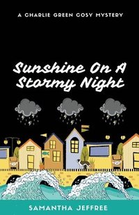 bokomslag Sunshine On A Stormy Night