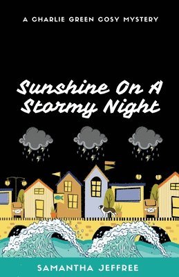Sunshine On A Stormy Night 1