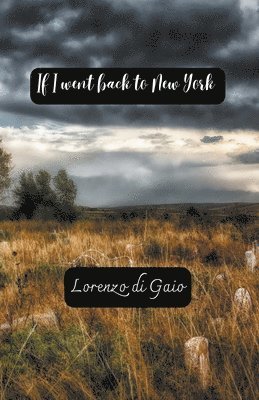Lorenzo Di Gaio, Lorenzo di Gaio - If I Went Back to New York, Häftad