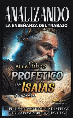 bokomslag Analizando la Enseanza del Trabajo en el Libro Proftico de Isaas