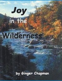 bokomslag Joy in the Wilderness