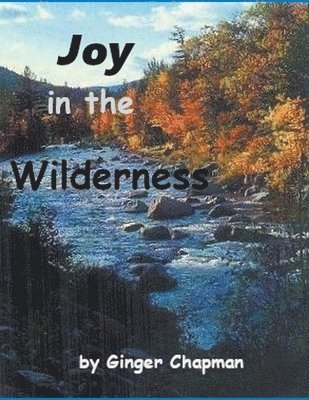 Joy in the Wilderness 1