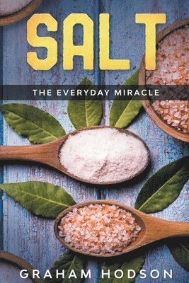 bokomslag Salt - The Everyday Miracle