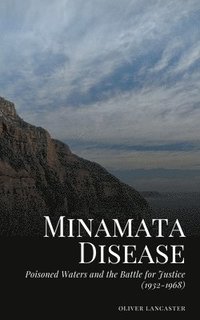 bokomslag Minamata Disease