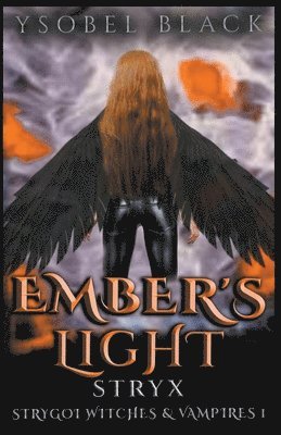 bokomslag Ember's Light