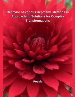 bokomslag Behavior of Various Repetitive Methods in Approaching Solutions for Complex Transformations