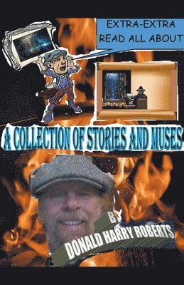 bokomslag Collection Of Stories And Muses