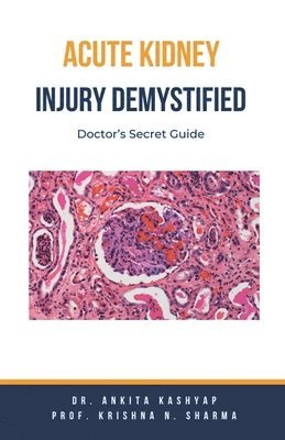 bokomslag Acute Kidney Injury Demystified