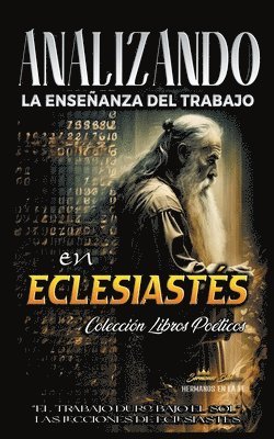 bokomslag Analizando la Enseñanza del Trabajo en Eclesiastés