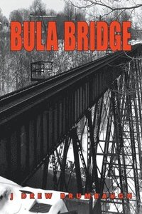 bokomslag Bula Bridge