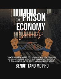 bokomslag The Prison Economy Secrets