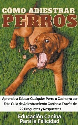 bokomslag Cmo Adiestrar Perros Aprende a Educar Cualquier Perro o Cachorro con Esta Gua de Adiestramiento Canino a Travs de 22 Preguntas y Respuestas