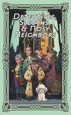 bokomslag Detectives, Sleuths, & Nosy Neighbors