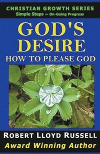bokomslag God's Desire