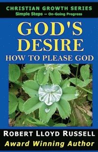 bokomslag God's Desire