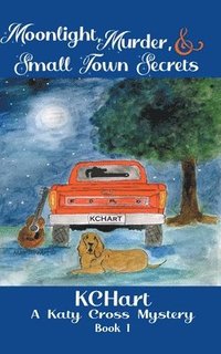 bokomslag Moonlight Murder and Small Town Secrets