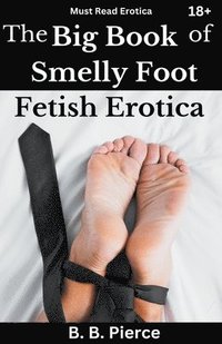 bokomslag The Big Book of Smelly Foot Fetish Erotica
