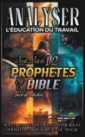 bokomslag Analyser L'ducation du Travail chez les 12 Prophtes de la Bible