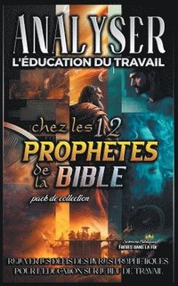 bokomslag Analyser L'éducation du Travail chez les 12 Prophètes de la Bible
