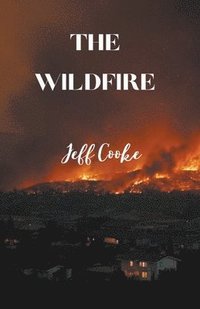 bokomslag The Wildfire