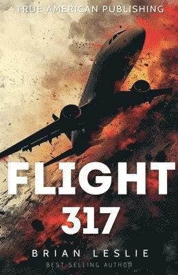 bokomslag Flight 317