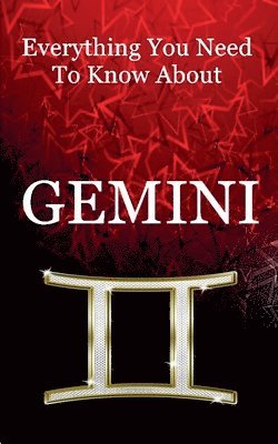 bokomslag Everything You Need To Know About Gemini