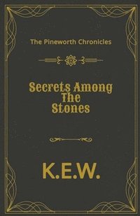bokomslag Secrets Among The Stones