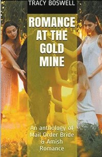 bokomslag Romance At The Gold Mine
