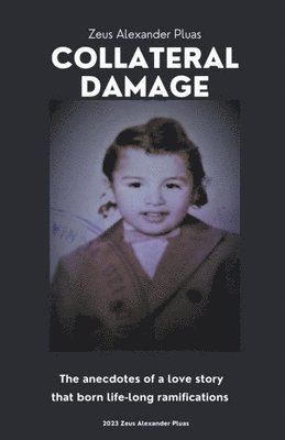 bokomslag Collateral Damage
