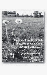 bokomslag View from Right Field - Thoughts on God, Life & the Stuff in Between
