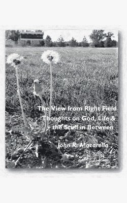 bokomslag View from Right Field - Thoughts on God, Life & the Stuff in Between