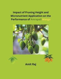 bokomslag Impact of Pruning Height and Micronutrient Application on the Performance of Amrapali Mango