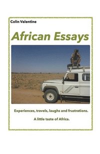 bokomslag African Essays