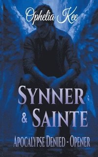 bokomslag Synner & Sainte