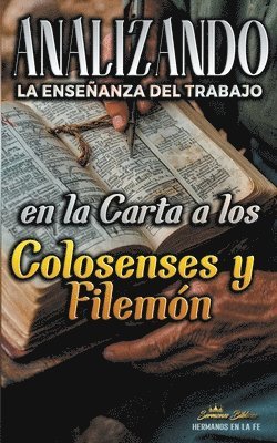 bokomslag Analizando la Enseanza del Trabajo en la Carta a los Colosenses y Filemn