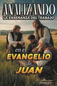 bokomslag Analizando la Enseanza del Trabajo en el Evangelio de Juan