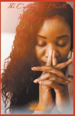 Sunshine - Calling, The Mantle and The Assignment, Häftad