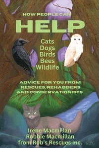 bokomslag How People Can Help Cats, Dogs, Birds, Bees and Wildlife