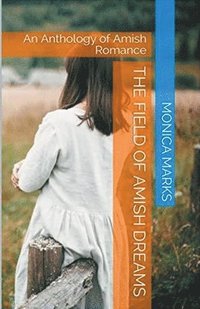 bokomslag Field Of Amish Dreams