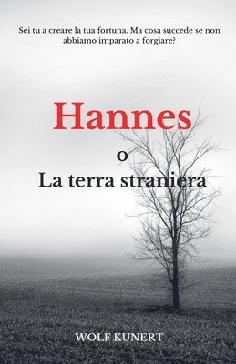 Hannes o La terra straniera 1