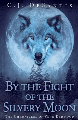 bokomslag By the Fight of the Silvery Moon