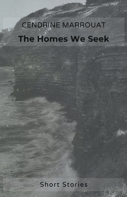 The Homes We Seek 1
