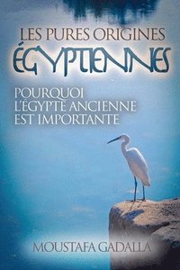 bokomslag Les Pures Origines Égyptiennes: Pourquoi L'Égypte Ancienne Est Importante