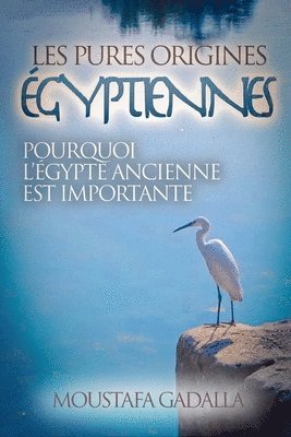 bokomslag Les Pures Origines gyptiennes