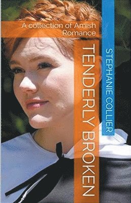 Stephanie Collier - Tenderly Broken, Häftad