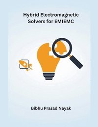 bokomslag Hybrid Electromagnetic Solvers for EMIEMC