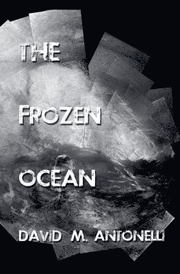 Frozen Ocean