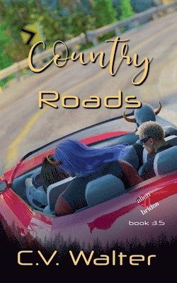 bokomslag Country Roads