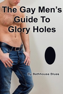 bokomslag Gay Men's Guide to Glory Holes