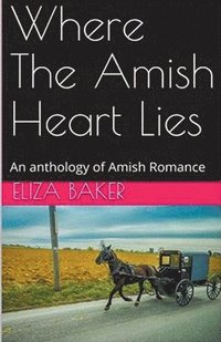 bokomslag Where The Amish Heart Lies
